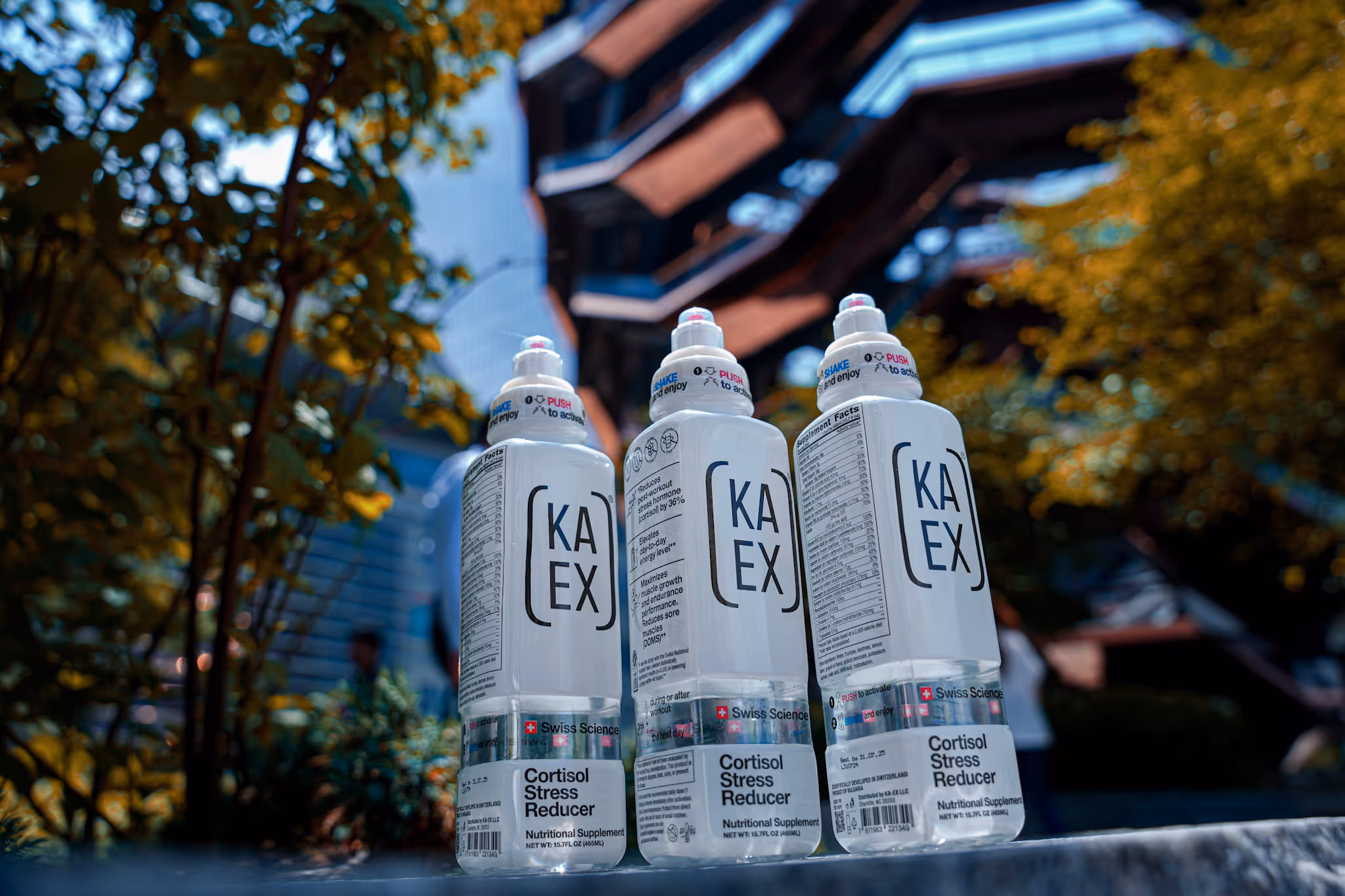 Why we Invested in KA-EX? 