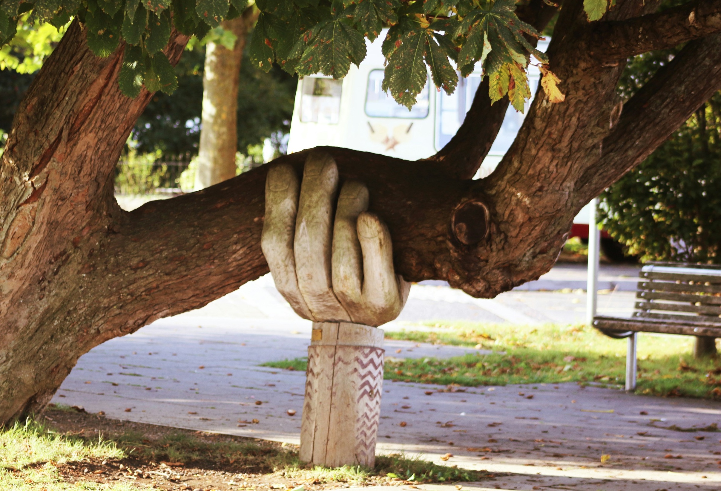 Hand sculpture supporting tree limb