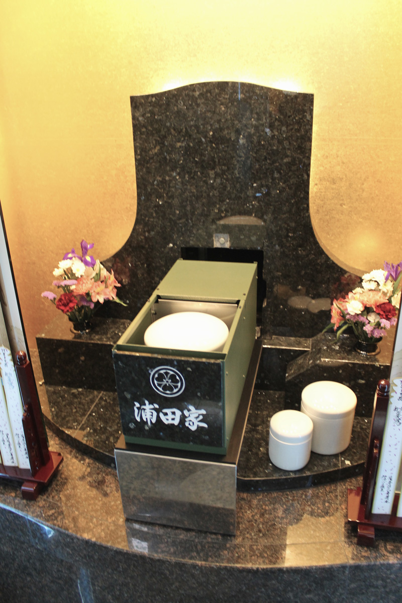 IMG\_6485.jpg
