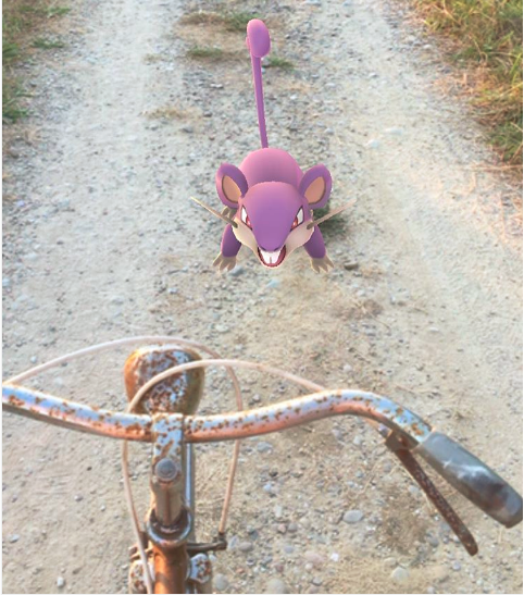 pokemon2.png
