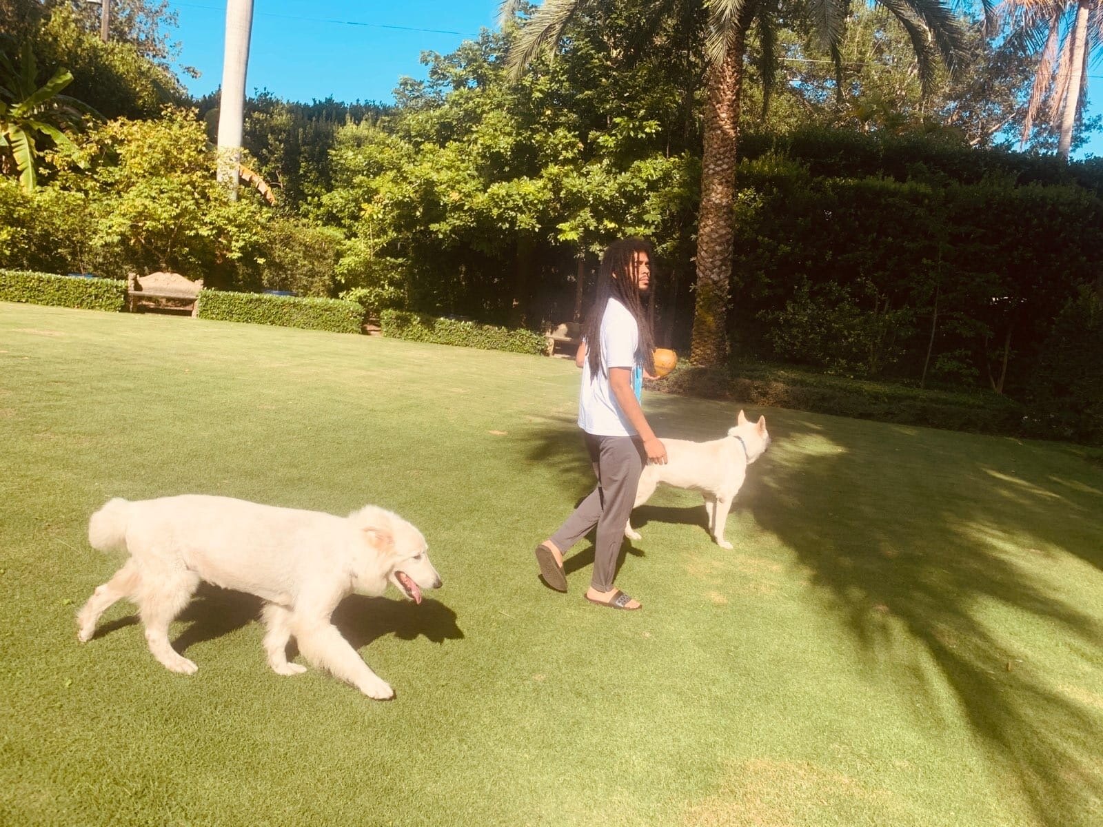 Taking Lee &amp; Molly for a walk