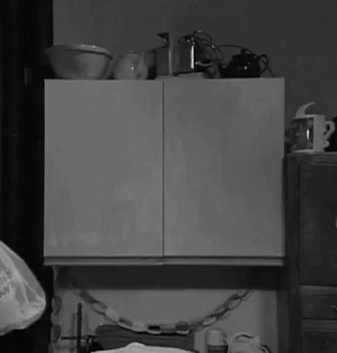 IMG\_0681.gif