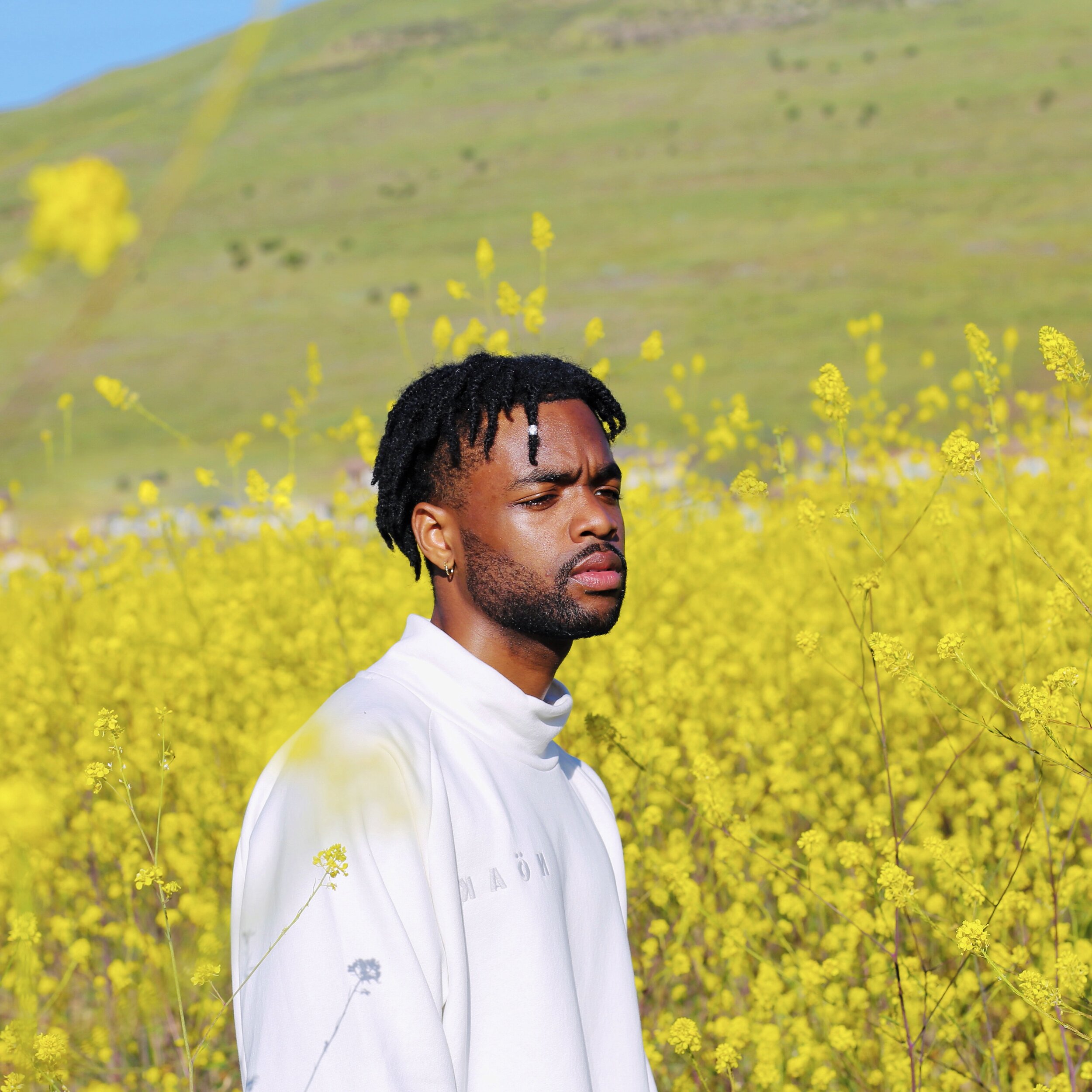 Press Shot 2 ØHENRY FLAUNT.jpg