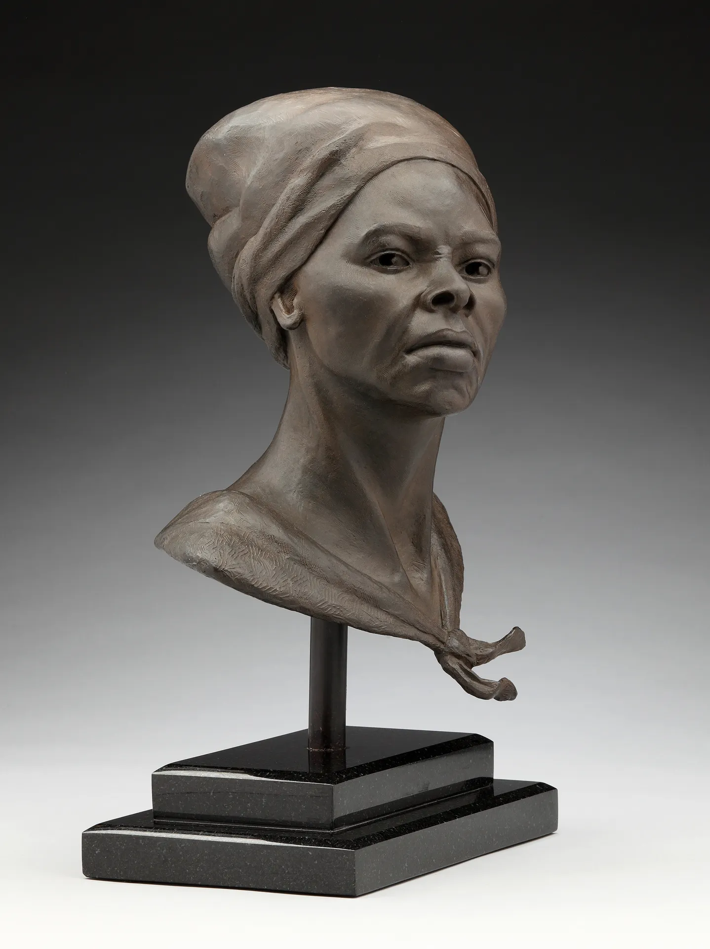 Gibbes Museum of Art | The Premiere of 'Picturing Freedom'