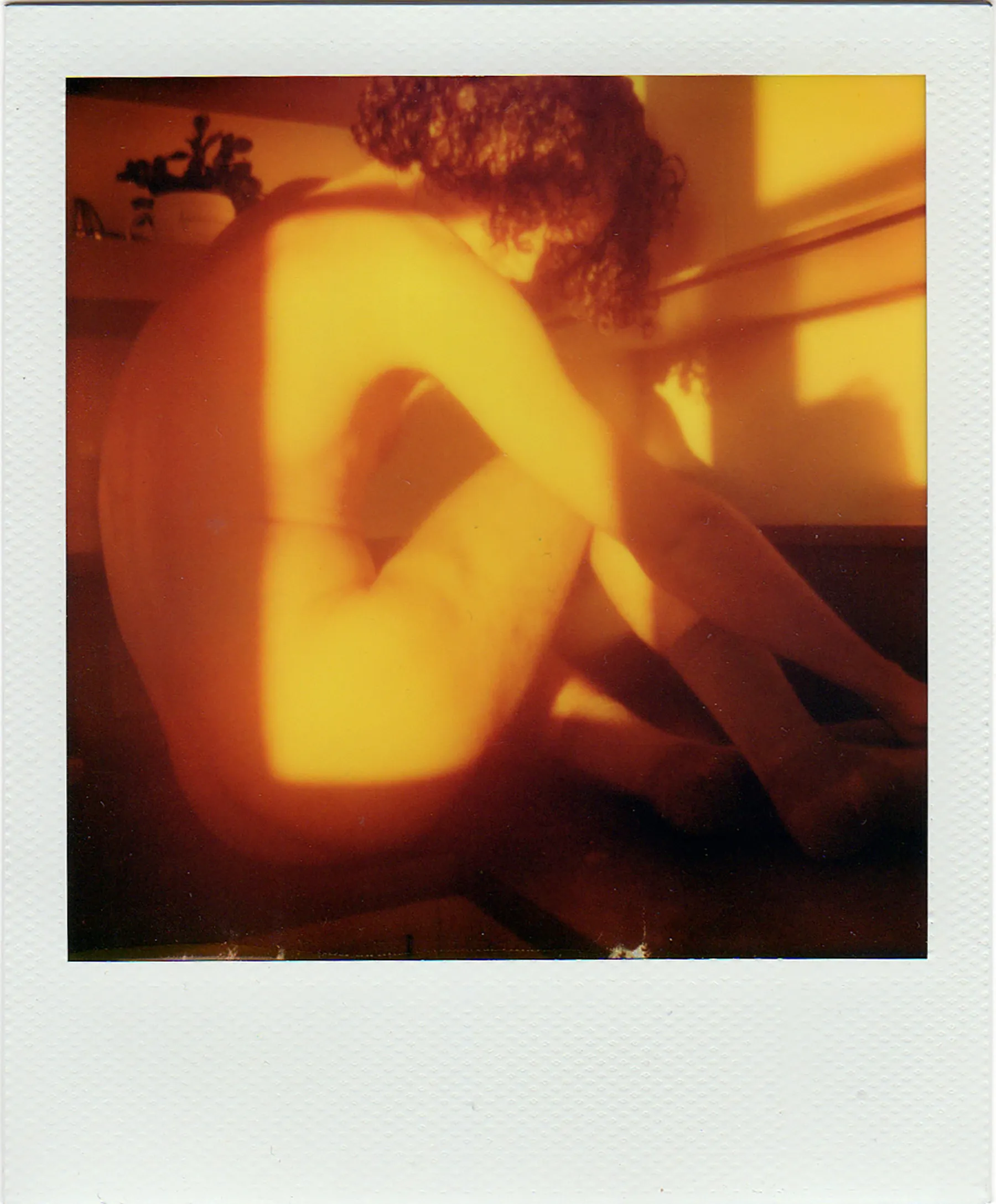 Rob Roth | Happy Accidents