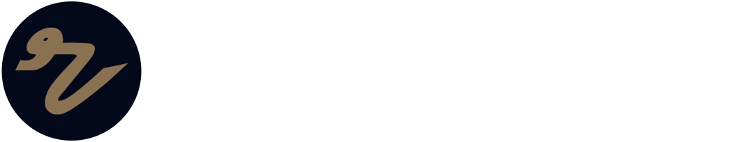 RFPnetworks Logo