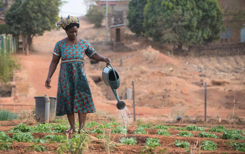Eine Frau in traditioneller Kleidung bewässert ein kleines Gemüsefeld in Benin