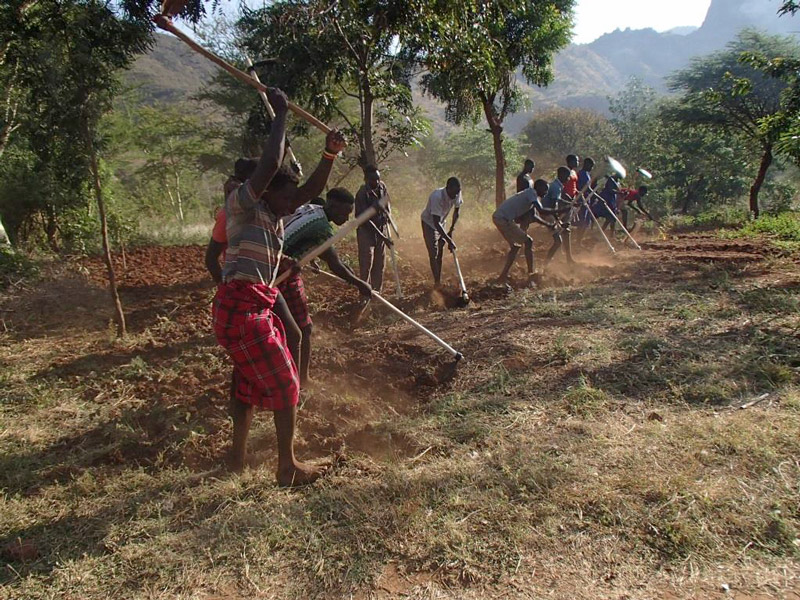 Gruppe afrikanischer Jugendlicher arbeitet barfuß mit Hacken auf einem trockenen Feld, um den Boden zu lockern; im Hintergrund Bäume und Hügellandschaft.