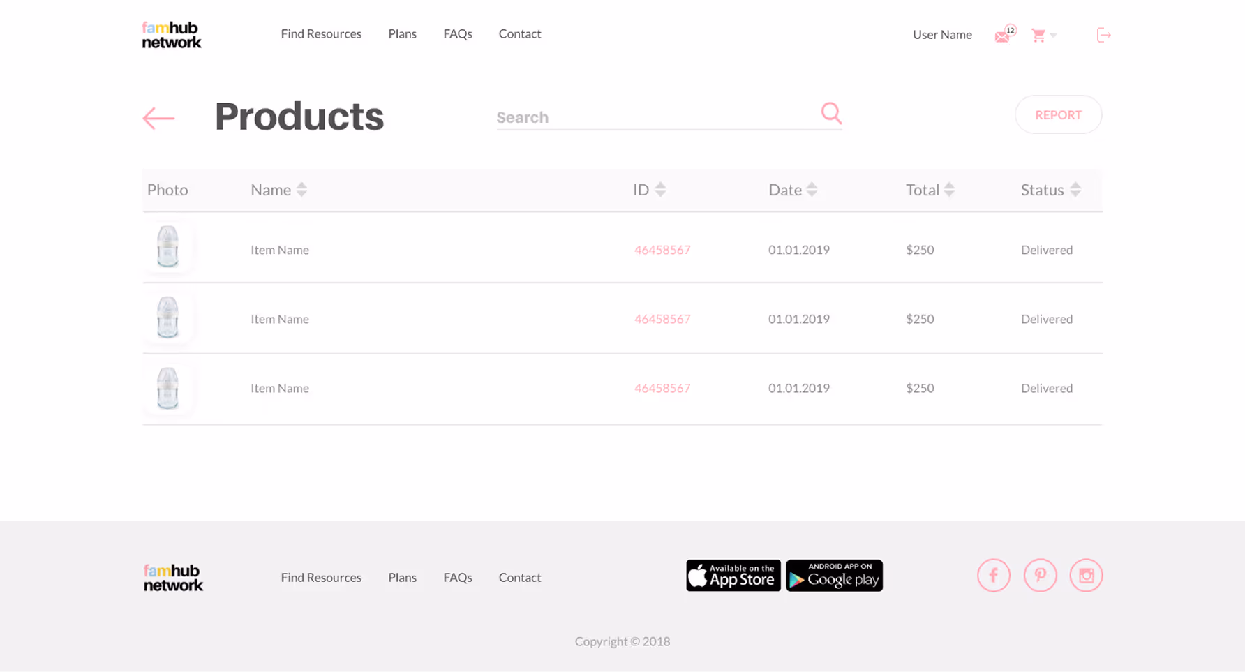 Webpage showing a product list with columns for photo, name, ID, date, total, and status; three rows of a baby bottle product named Item Name, ID 46458567, dated 01.01.2019, priced at $250, and marked as Delivered.