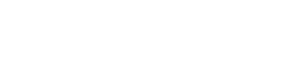 Bundle