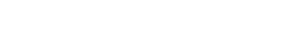 Silicon Data