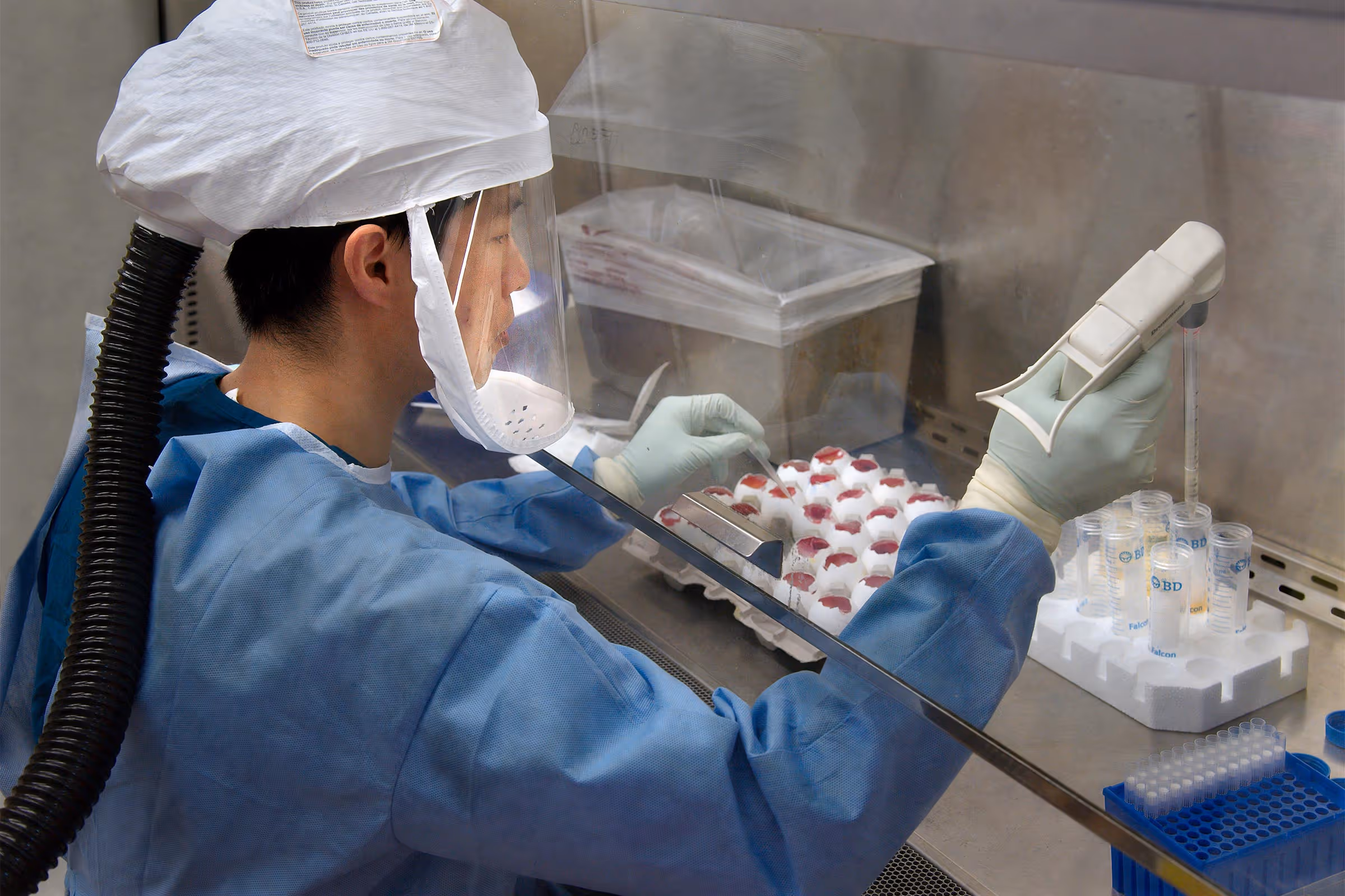 A scientist working with samples in a lab.