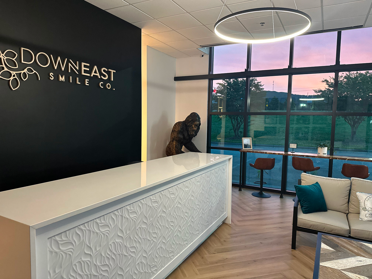 tooth and mirror tool