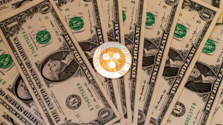 Potential of Ripple (XRP) Hitting $1 by 2025 - Wishful Thinking or Reality?
