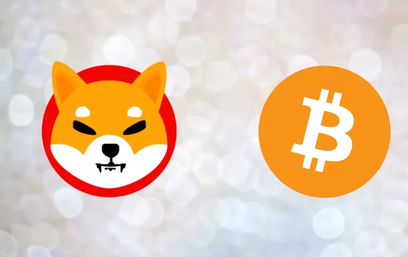 Shiba Inu saw a key metric soar 100% amid a SHIB price rally