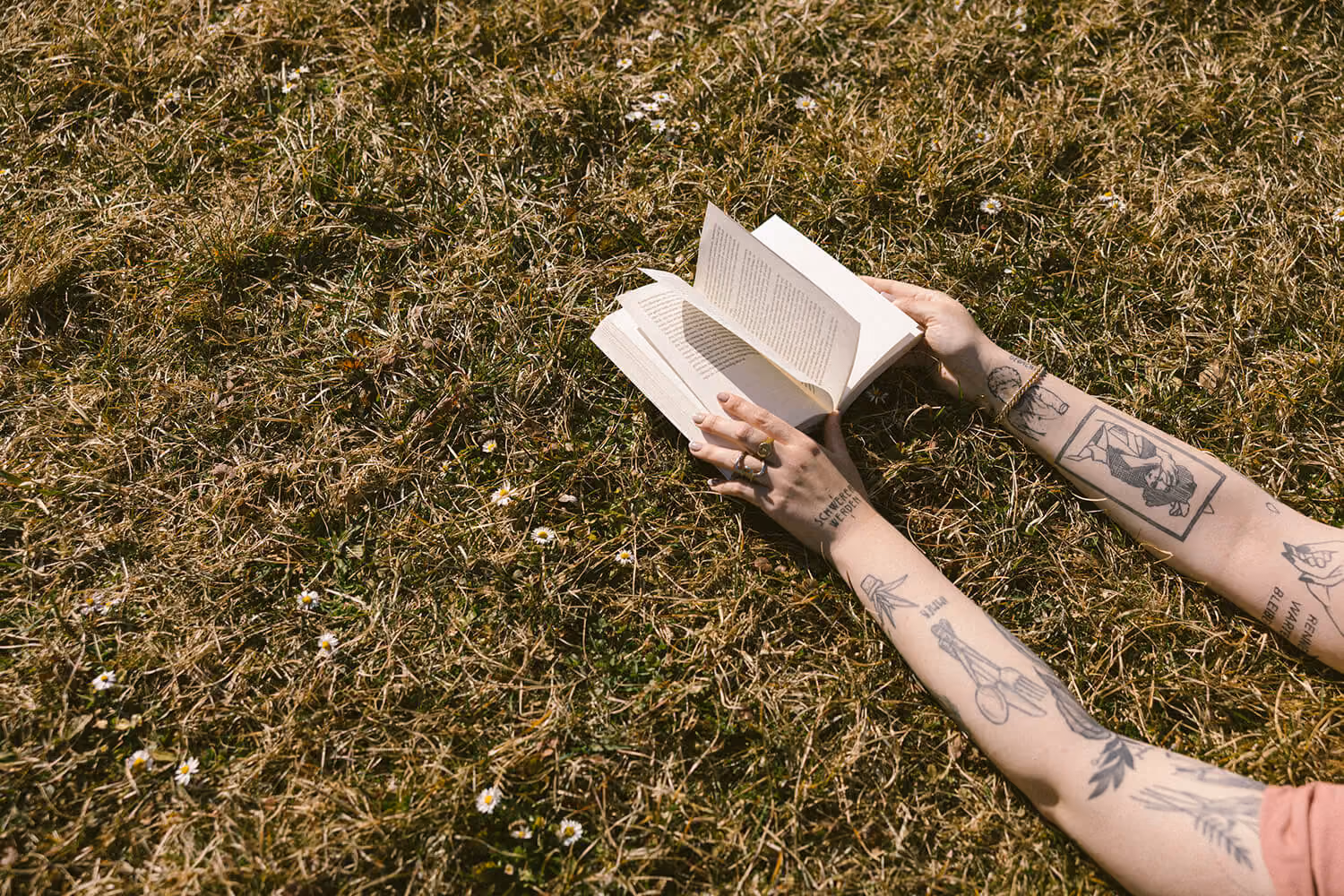 Wiese von oben fotografiert, ein Buch aufgeklappt in der Mitte, welches von zwei tätowierten Armen/Händen gehalten wird. 