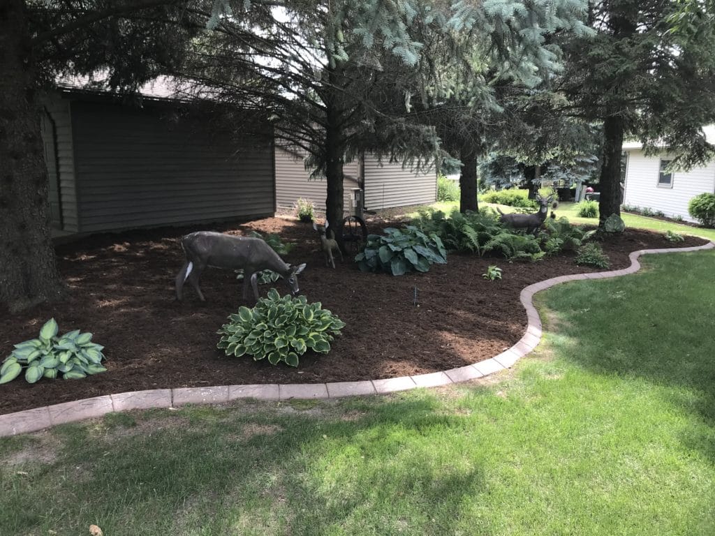 Recent lawn care project