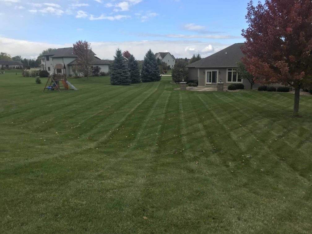 Landscaping work