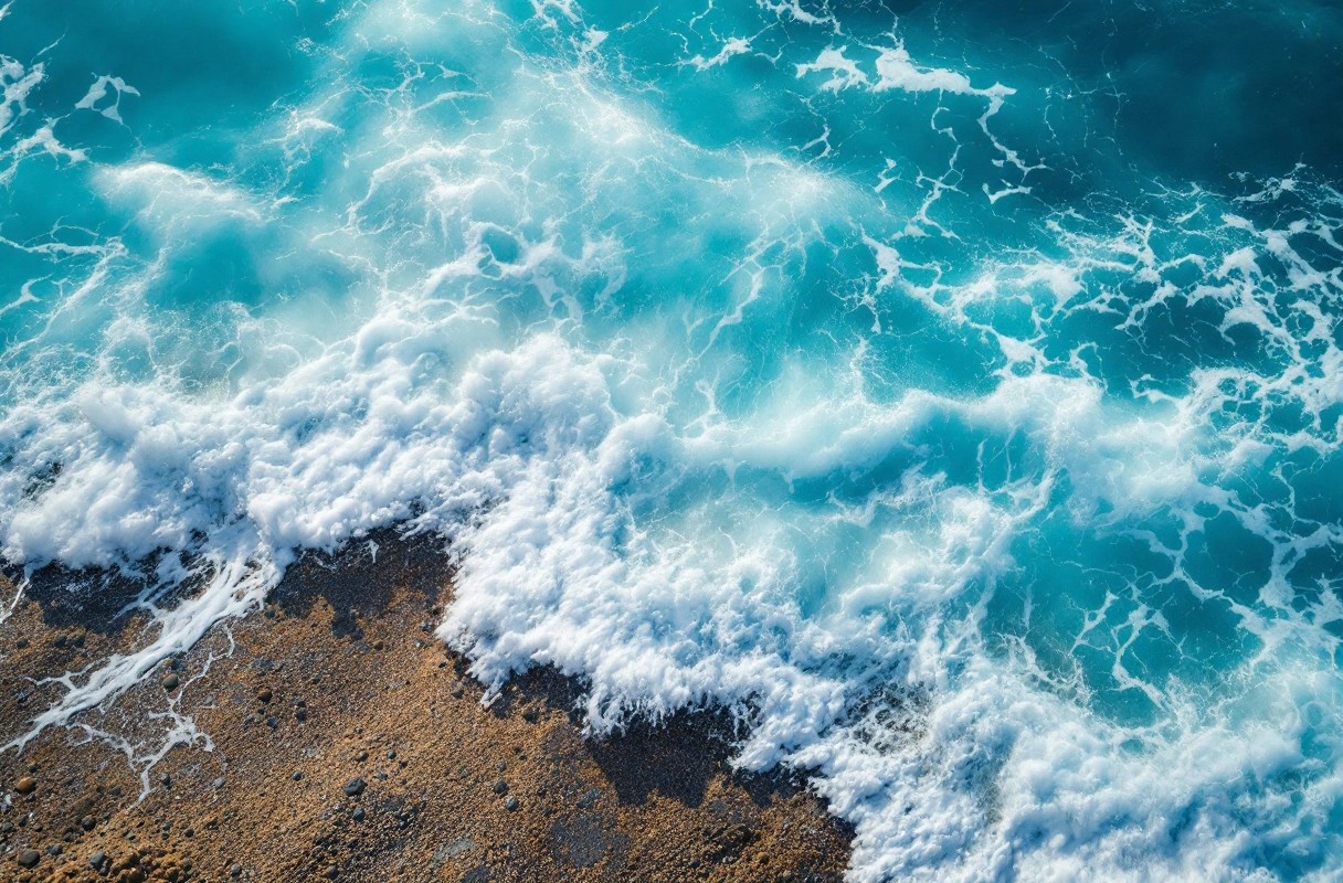 Professional image illustrating Navigating Tenant Rights in Coastal Rentals