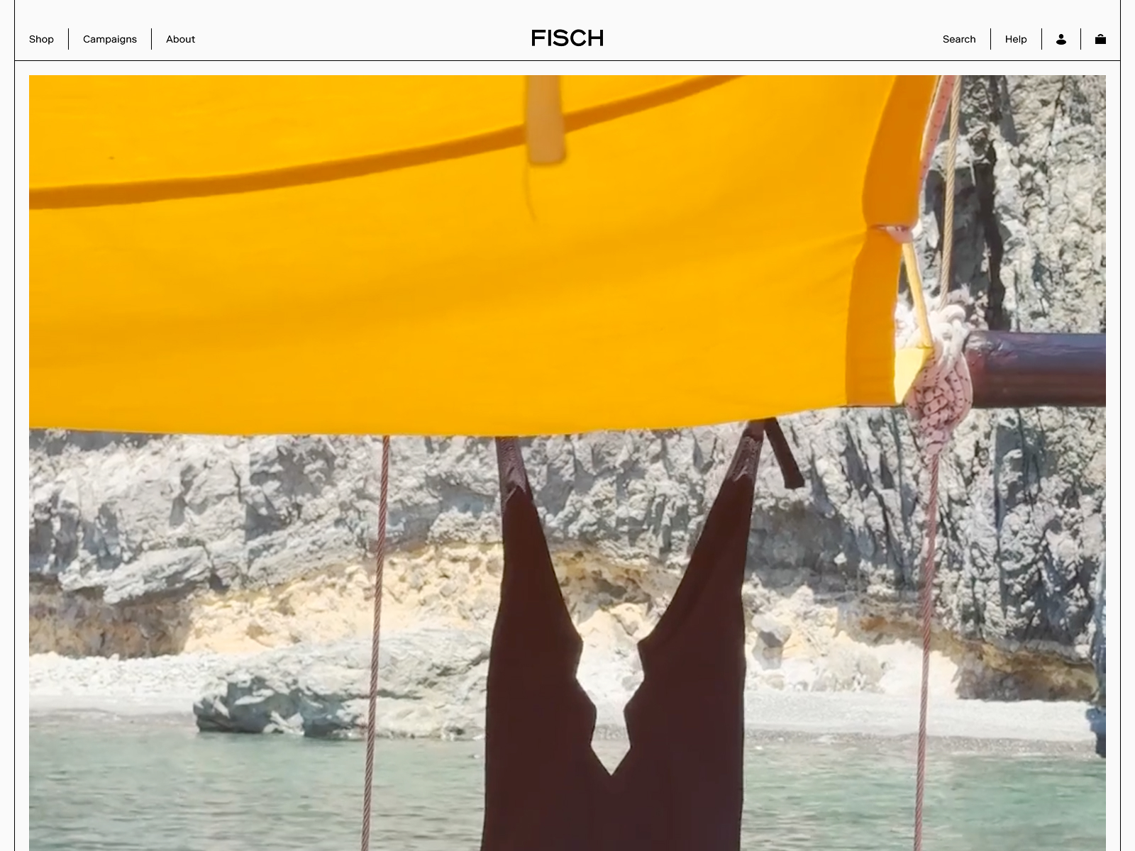 Fisch Swim