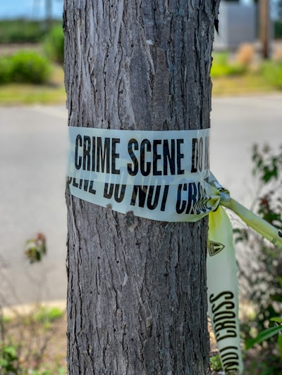Crime scene tap around a tree.