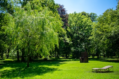 Bench in a local park.