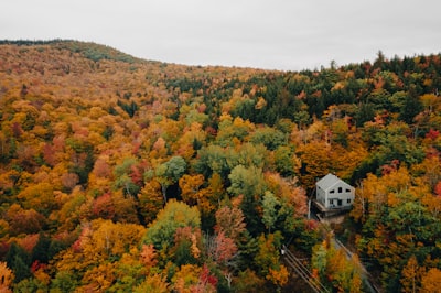 Seasonal house in the fall.
