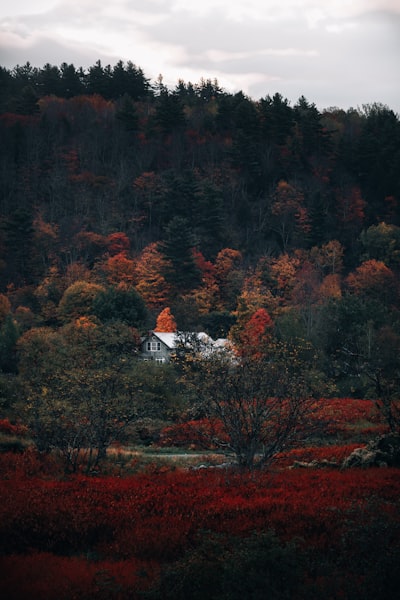 New England house in the fall. 