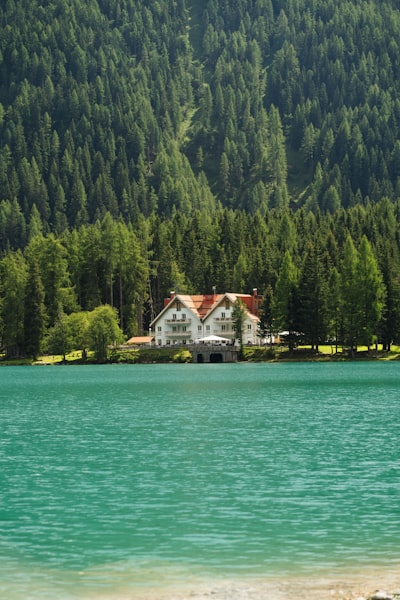 Rustic lake house exterior across lake.