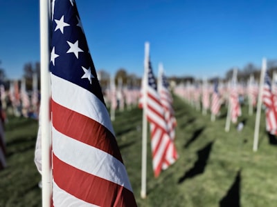 Veteran memorial flags. 