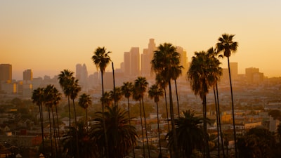 Los angeles sunset skyline. 