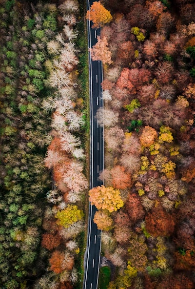 Seasons on either side of the road.