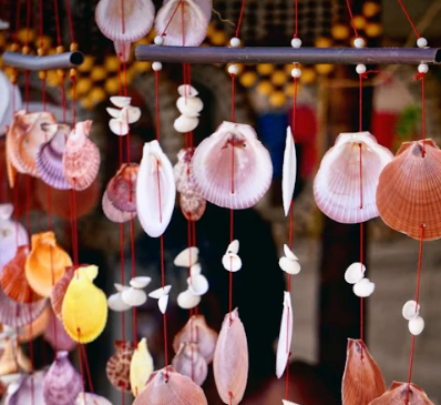 Sea shell hanging art piece.