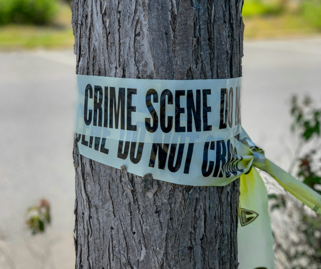 Crime scene tape on a tree.
