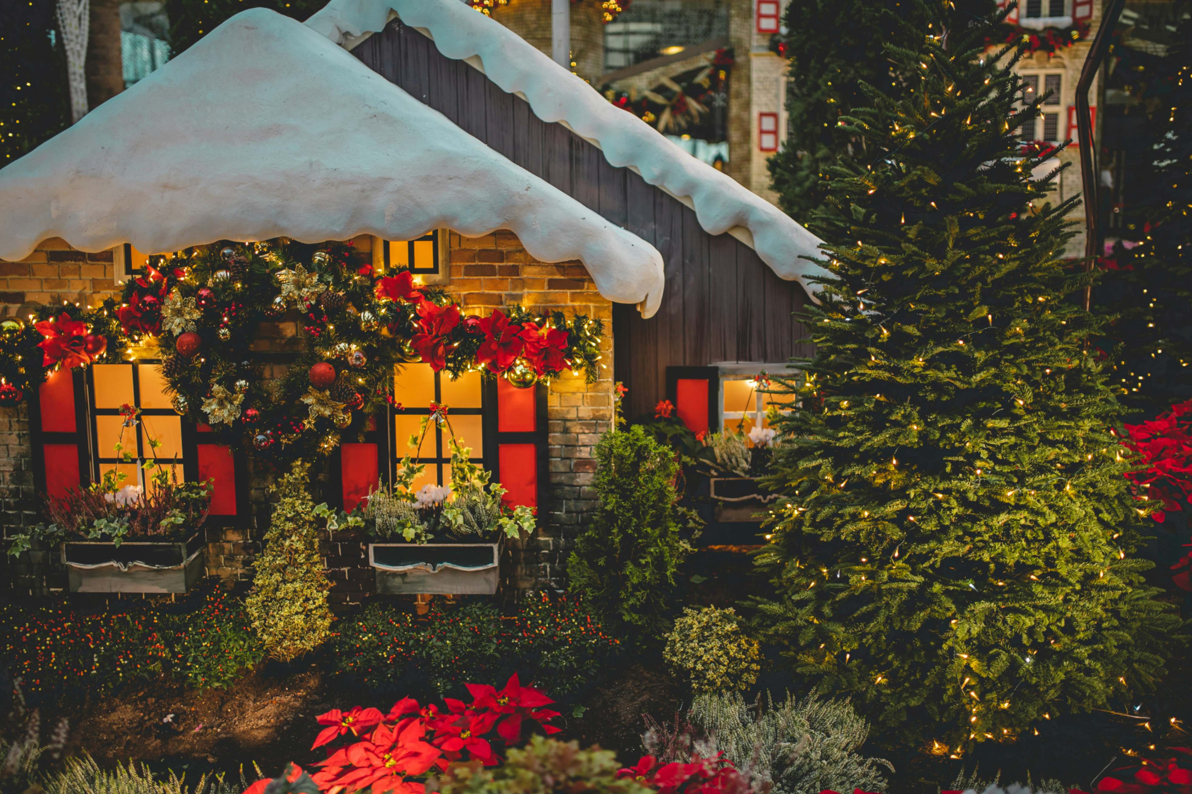 Holiday exterior house decor. 