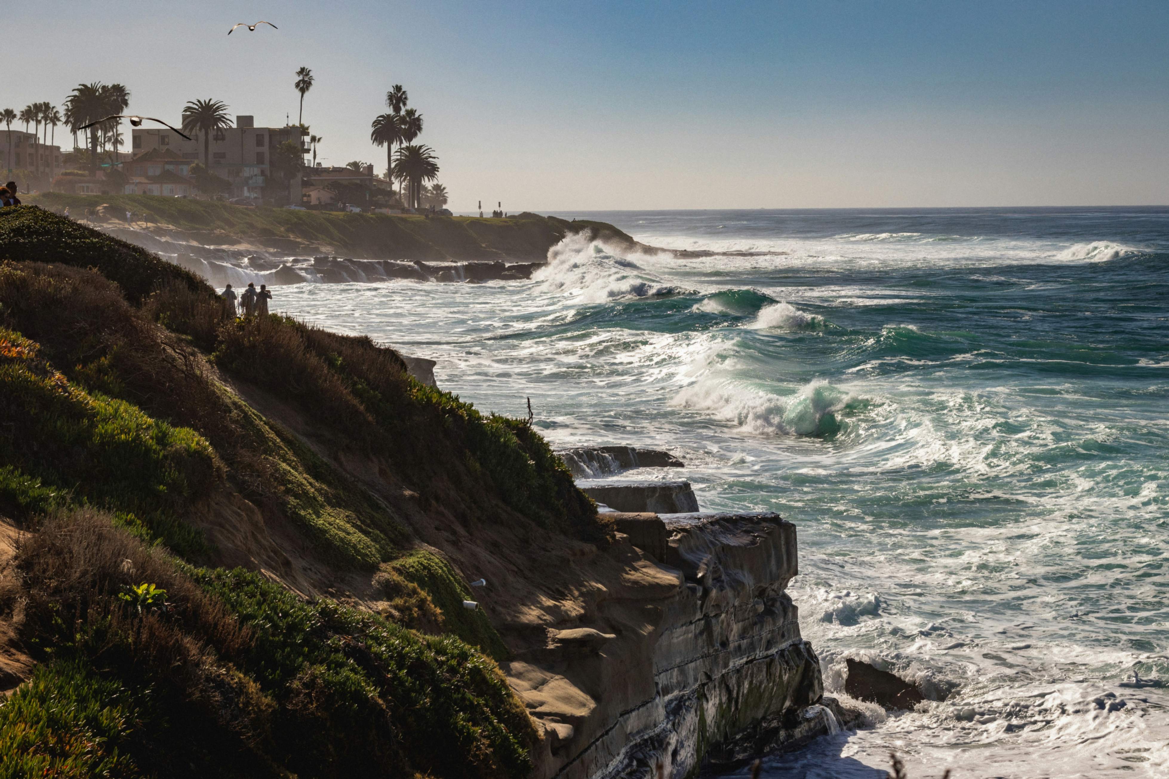 La Jolla. 