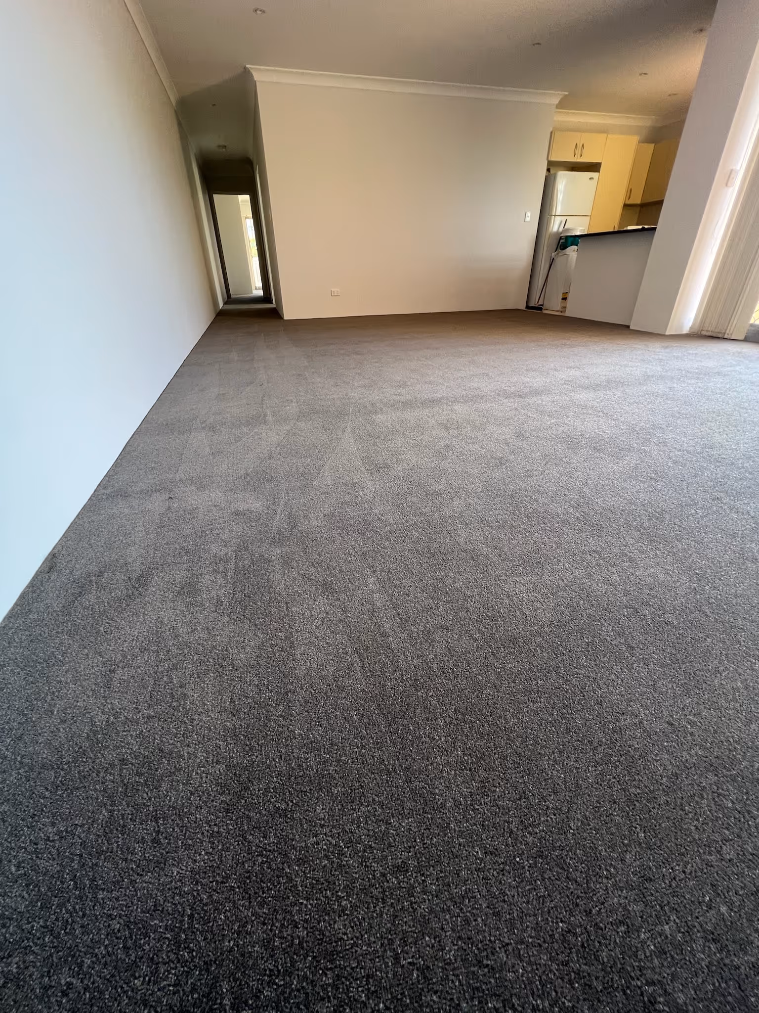 Apartment interior with dark gray carpet flooring extending through the living area, with a small kitchen visible at the back.