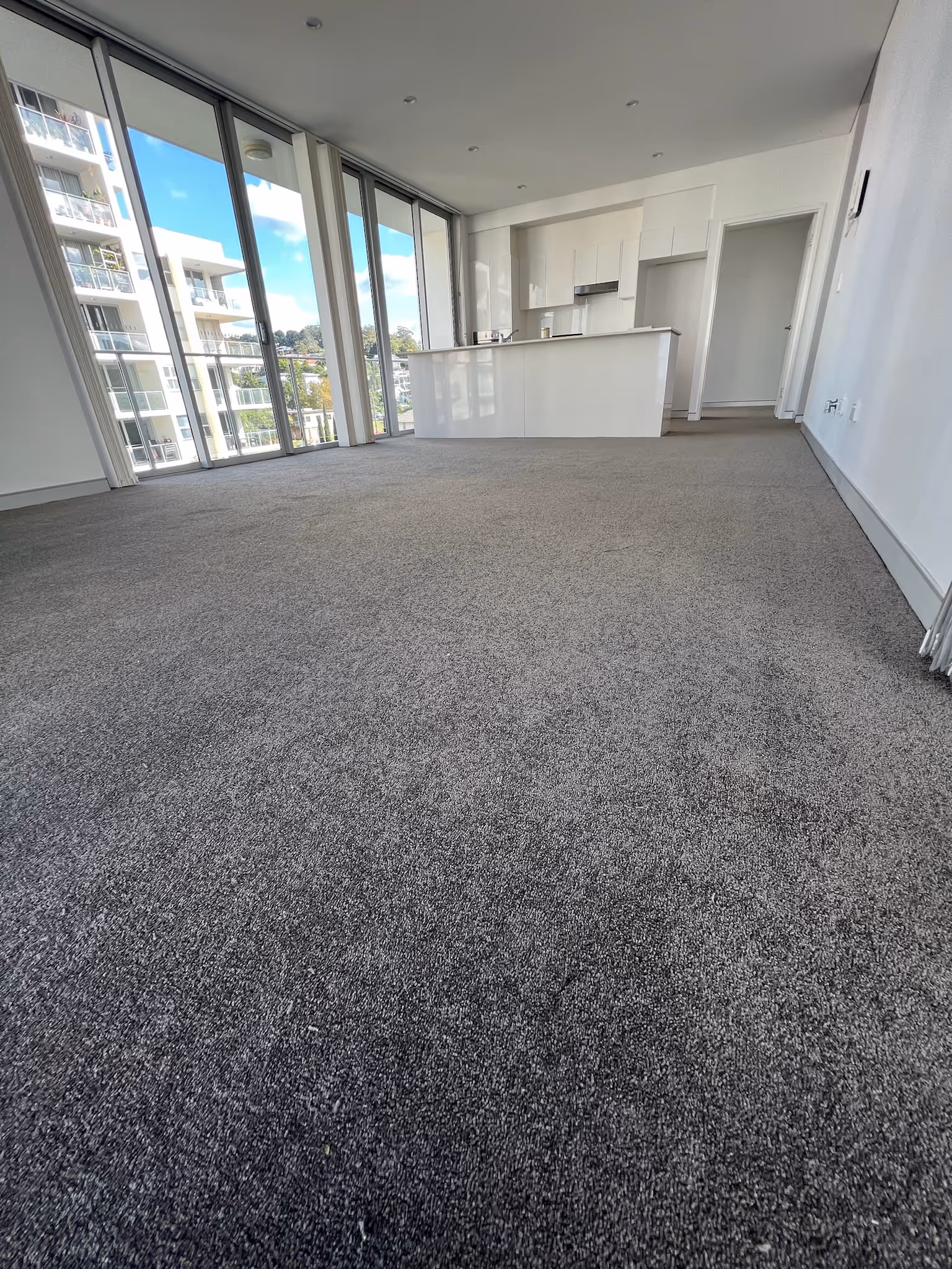 Spacious apartment interior with dark gray carpet flooring extending through the living area, with a modern kitchen visible at the back.