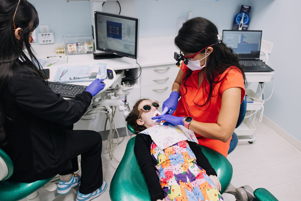 tooth and mirror tool