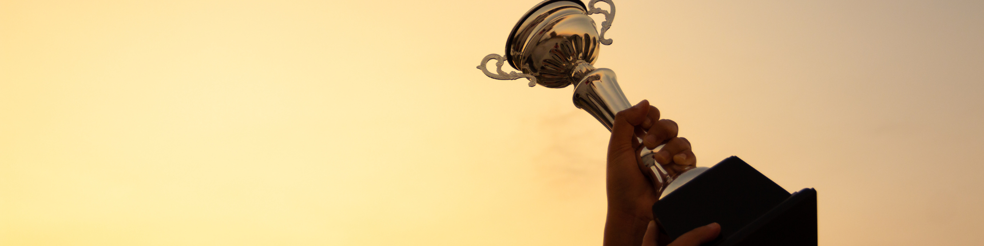 ingeneo-trophee-automatisation-flux-palmares-chiffre