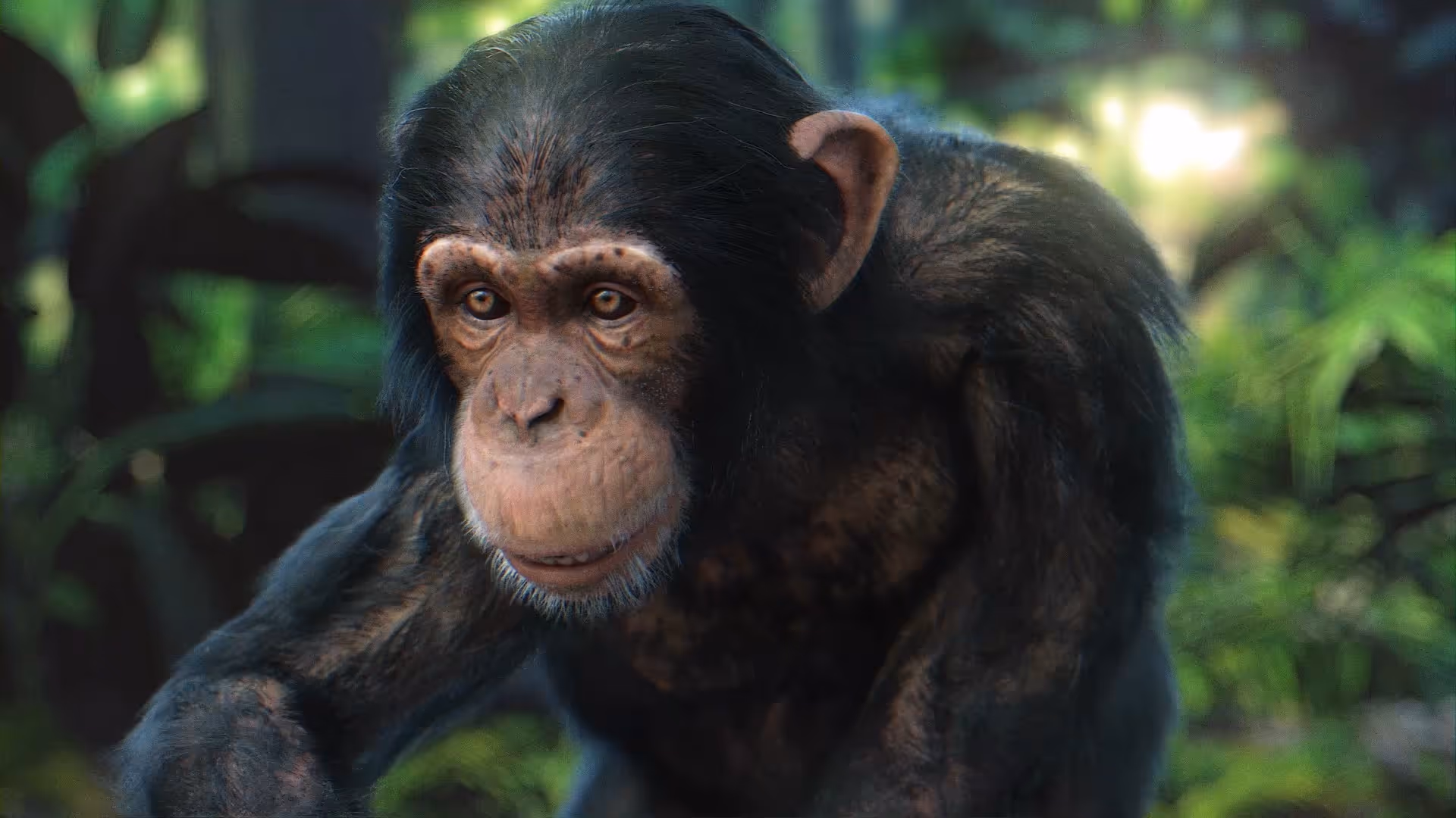3D Character Animation Studio
