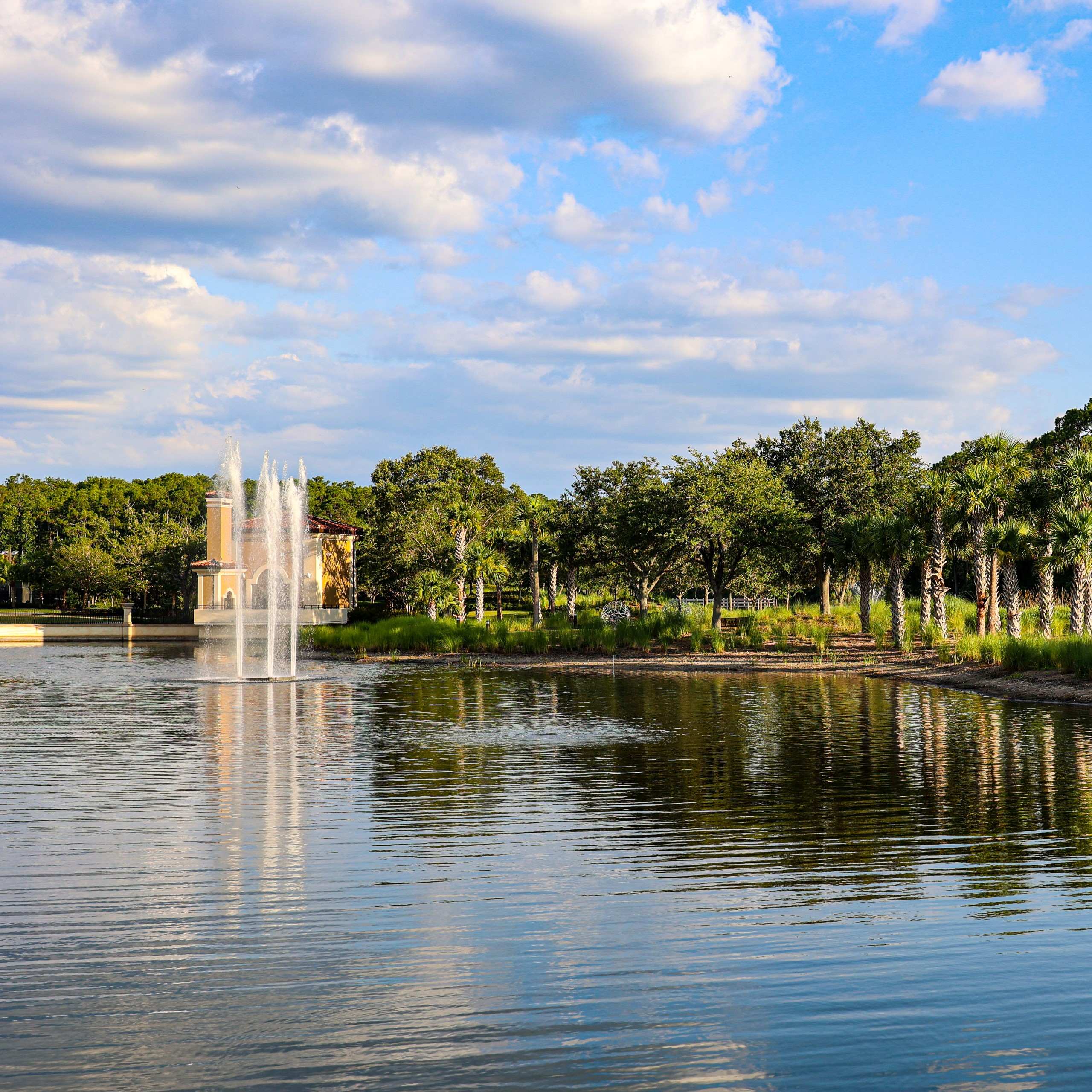 Fountains and palm trees beside a lake at an Institute venue