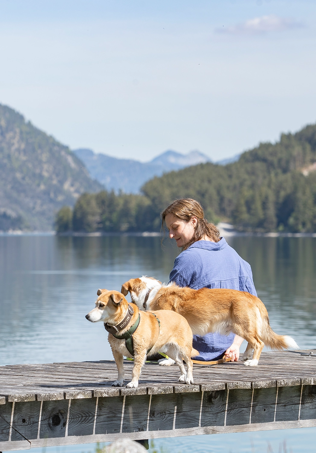 Privater kostenloser Badestrand im Seehotel St. Hubertus am Achensee in Pertisau | Hundestrand – Hunde erlaubt