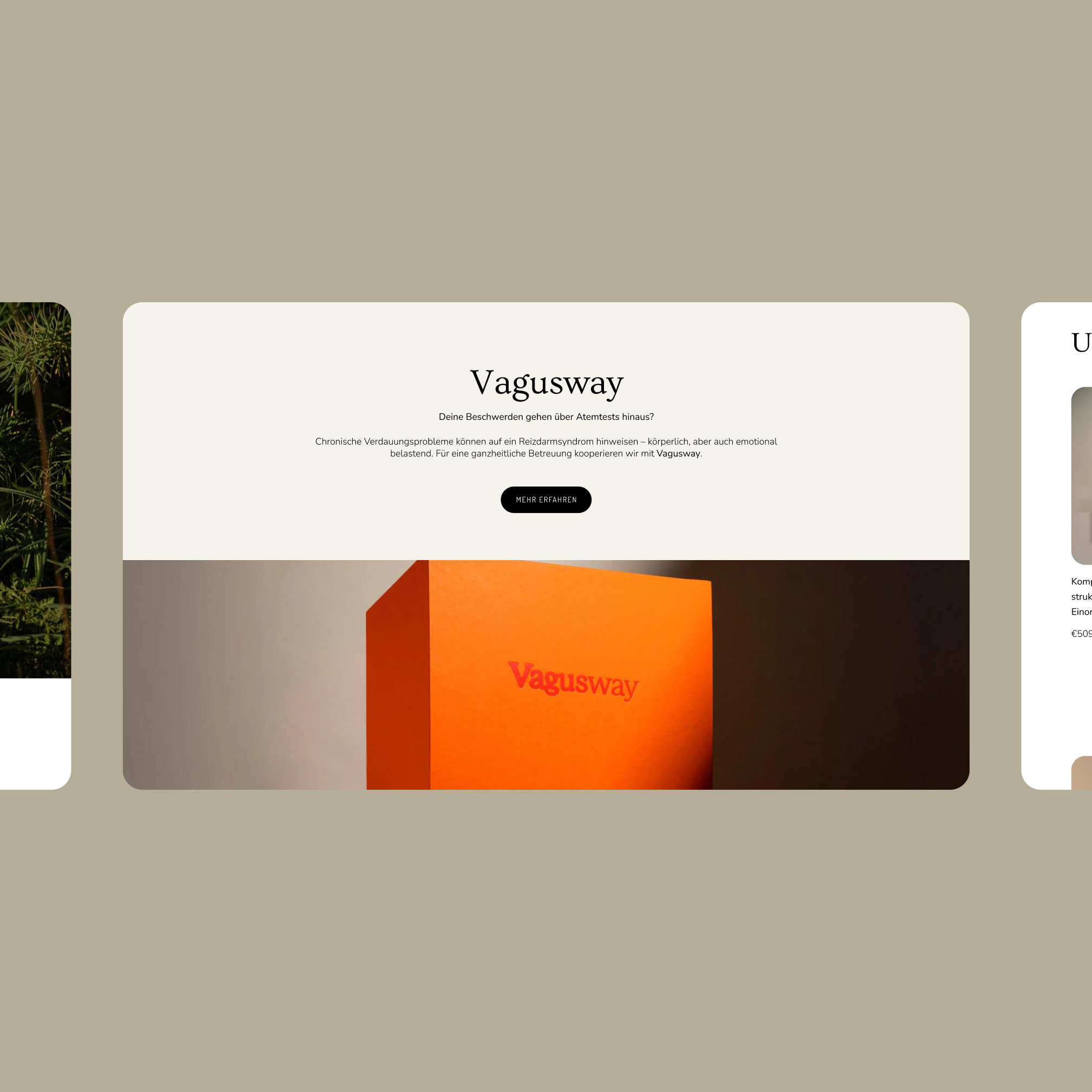 Vagusway