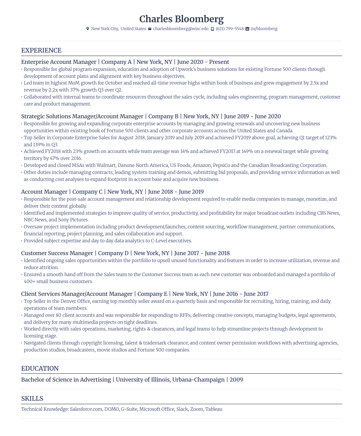 Professional Resume Template