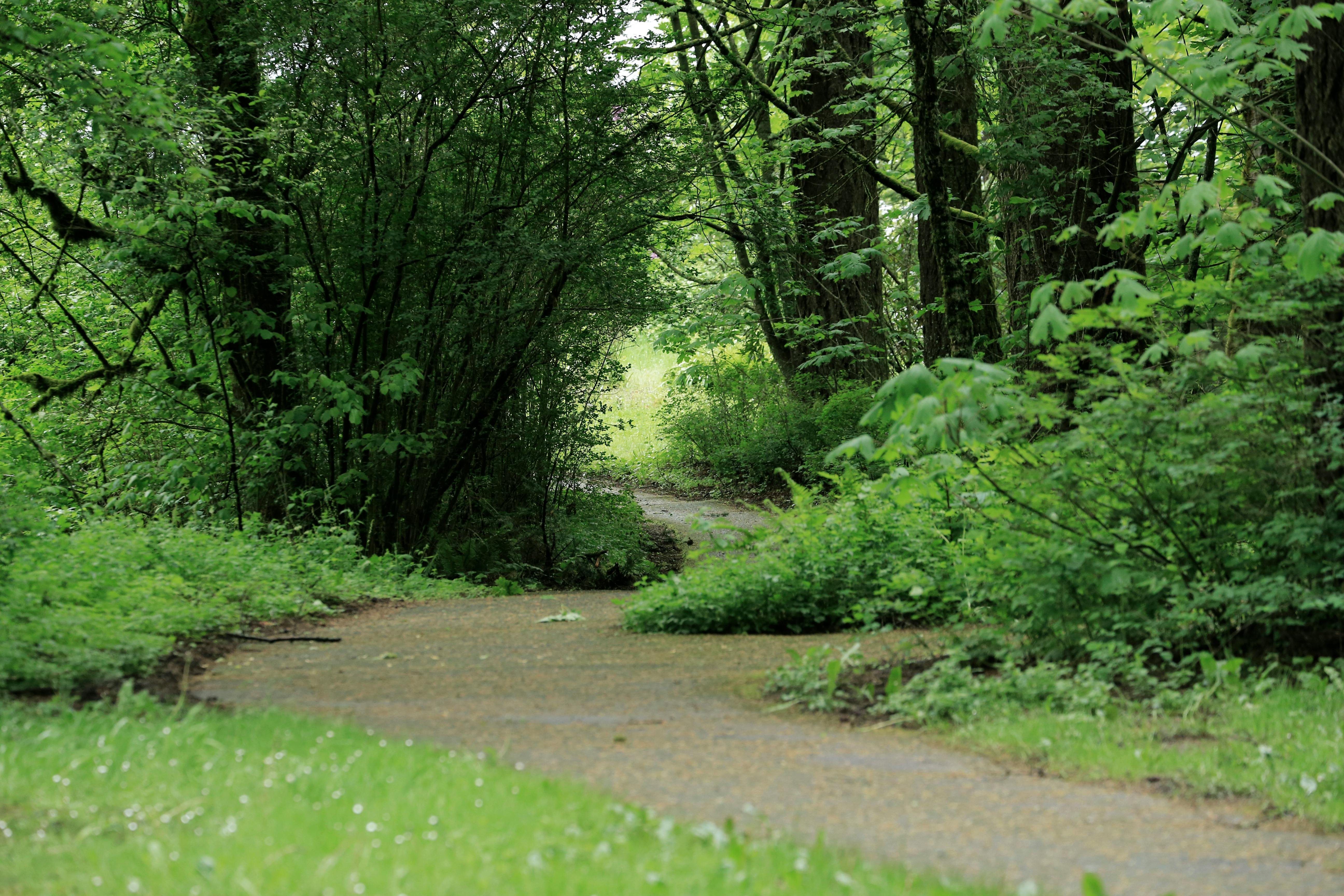 RC Pro : quelle est la couverture sur une erreur dans un rapport ?