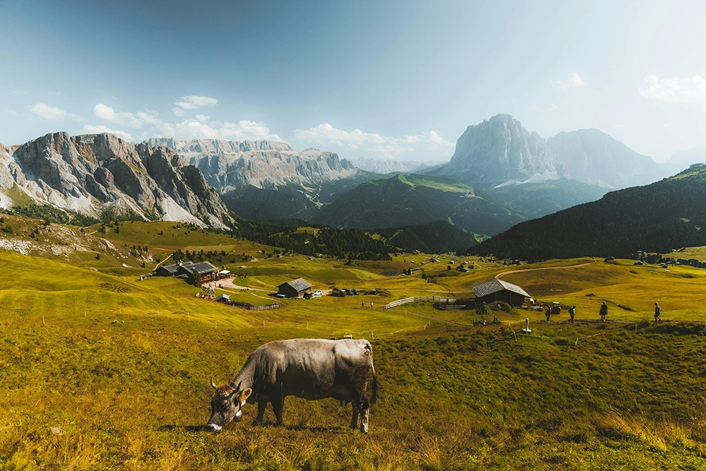 rc-pro-erreur-conseil