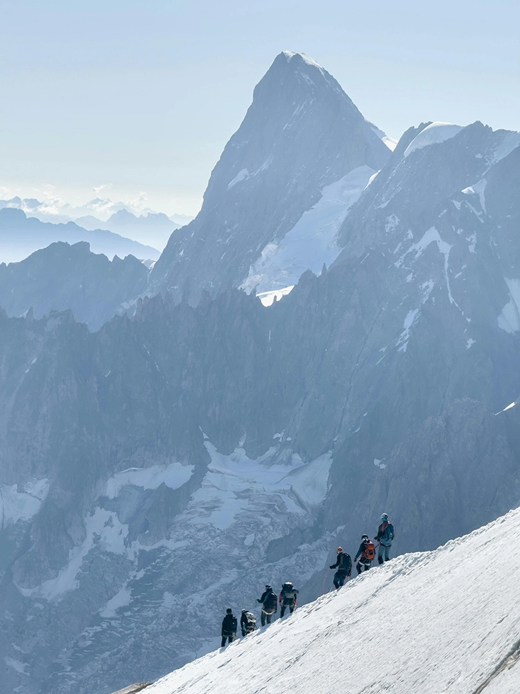 linkconsulting x Stello