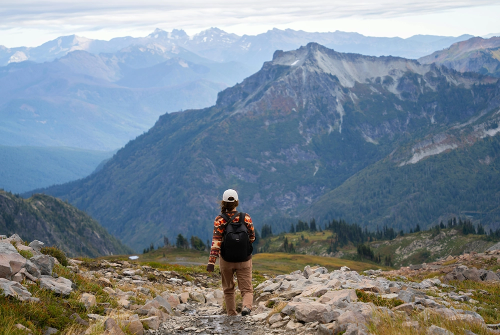 rc pro retard de livraison