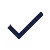 check mark icon